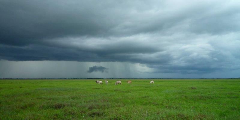 成都不锈钢管材规格与价格全解析:选材避坑指南与市场行情