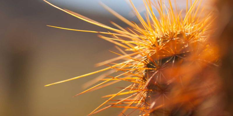 成都“废钢”变“富矿”：揭秘不锈钢废料如何通过专业分拣与加工，重塑高价值产业链